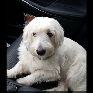 Meet your Posher, Karina